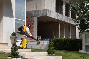KB Especialistas Em Controle de Pragas Urbanas