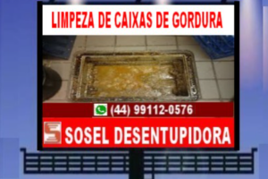 Serlim Desentupidora