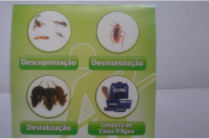 SP Brasil
