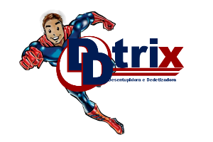 DDtrix Santa Catarina